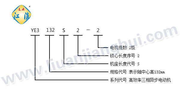 YE3系列三相異步電動(dòng)機(jī)_型號(hào)意義說(shuō)明_六安江淮電機(jī)有限公司