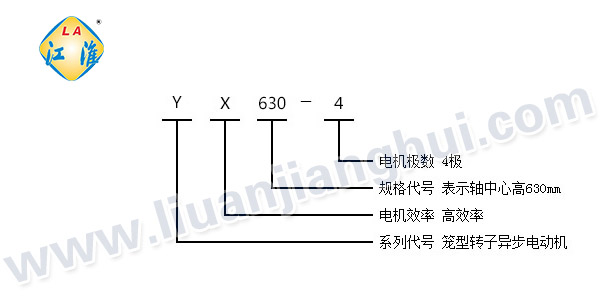 YX高效節(jié)能高壓三相異步電動機(jī)_型號意義說明_六安江淮電機(jī)有限公司